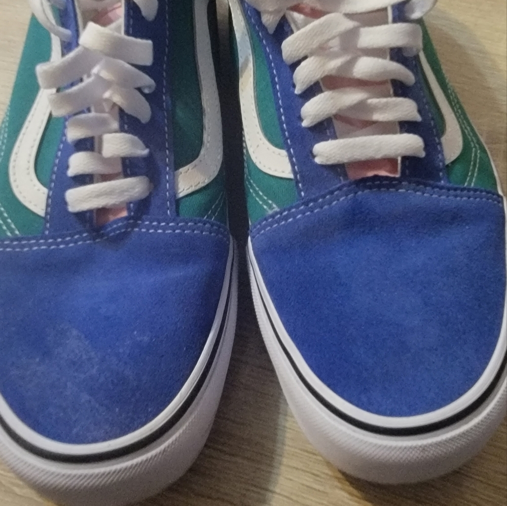 Vans men shoes